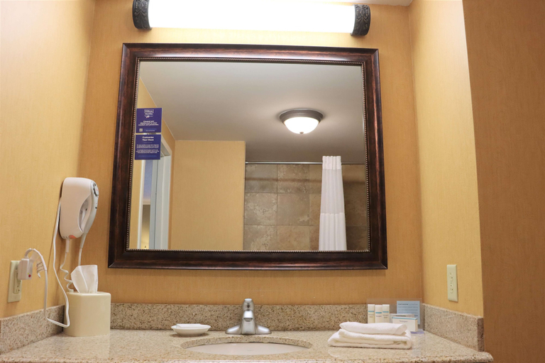 Bathroom 4, Hampton Inn & Suites Thibodaux, Lafourche