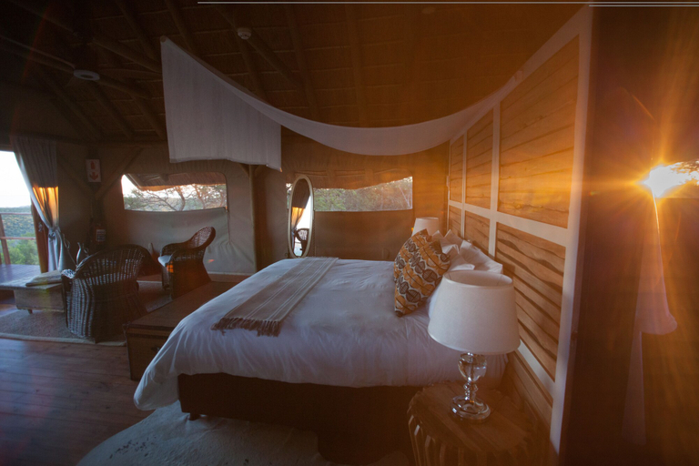 Bedroom 3, JBay Zebra Lodge, Cacadu
