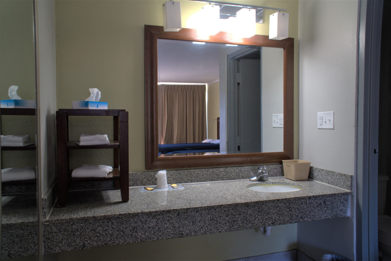 Bathroom 4, Eastern Shore Motel, Baldwin