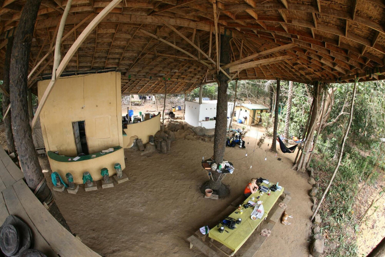 Others 5, Daltons Banana Guesthouse, Western Rural