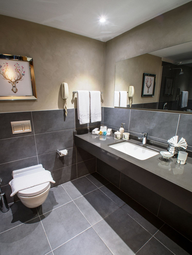 Bathroom 5, Agaoglu My Mountain Hotel, Kestel