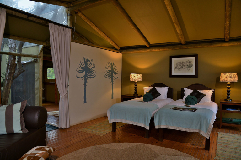 Bedroom 4, Sibuya Game Reserve, Cacadu