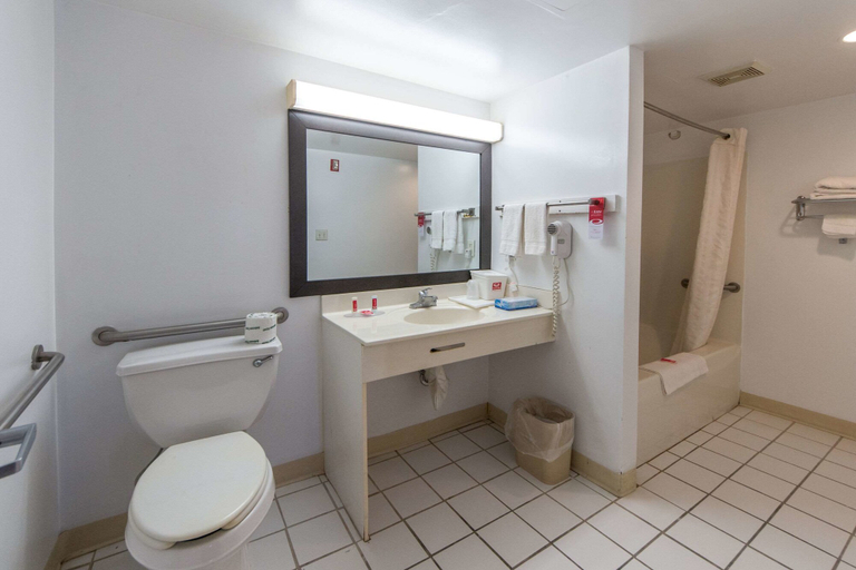 Bathroom 4, Econo Lodge Ruther Glen, Caroline