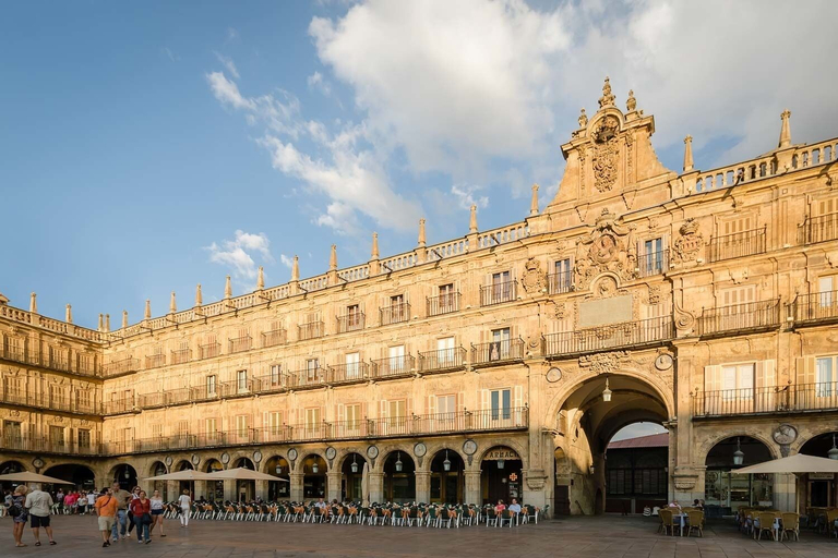 Exterior & Views 2, Salamanca Luxury Plaza, Salamanca