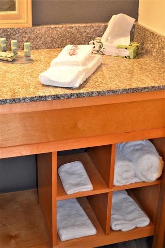 Bathroom 4, Lake View Inn, Hood