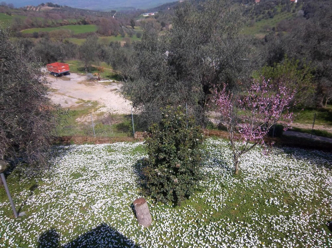 Others 5, Agriturismo Norianino, Grosseto