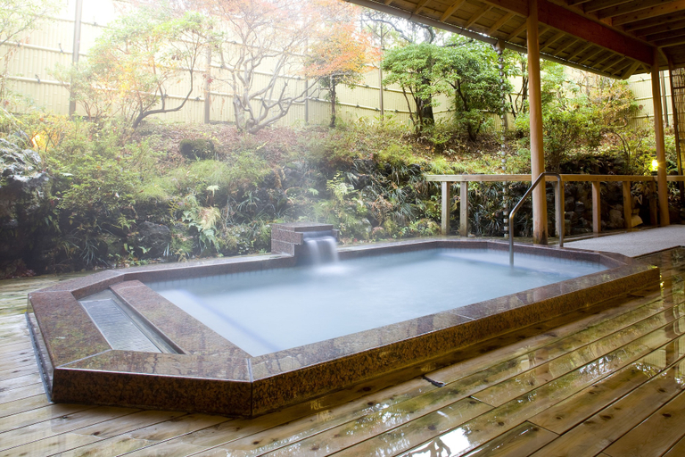 Sport & Beauty 2, Fuji View Hotel, Fujikawaguchiko