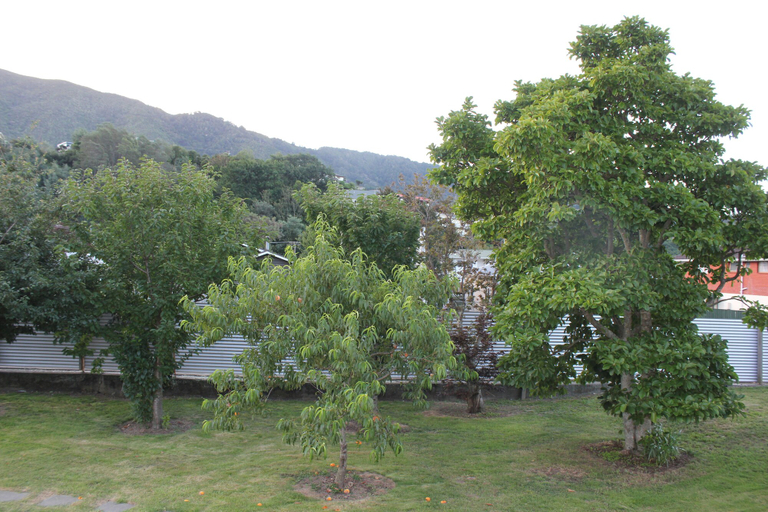 Others 5, Top of the Town, Marlborough