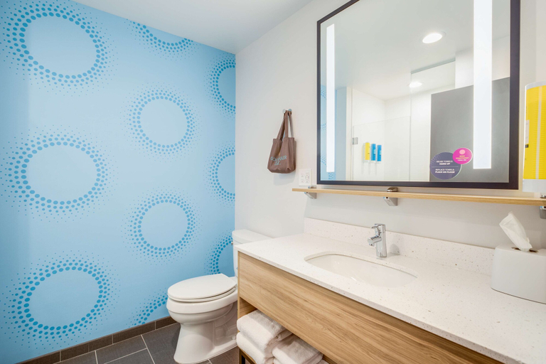 Bathroom 4, Tru by Hilton Saint Joseph, Berrien