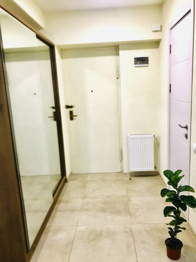 Others 5, My house on Agmashenebeli street, Tbilisi