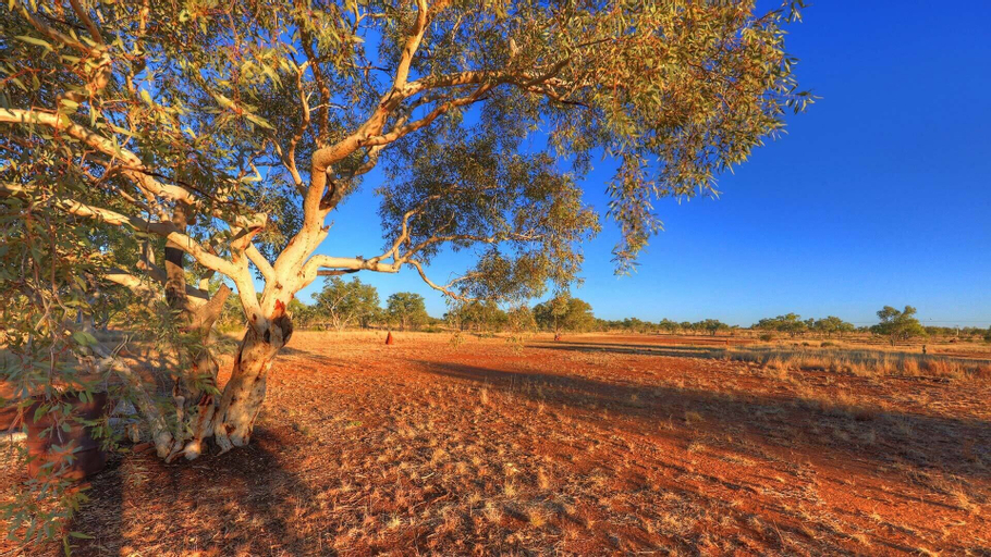 Halls Creek Motel, Halls Creek