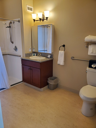 Bathroom, Clarion Hotel & Suites Williston, Williams