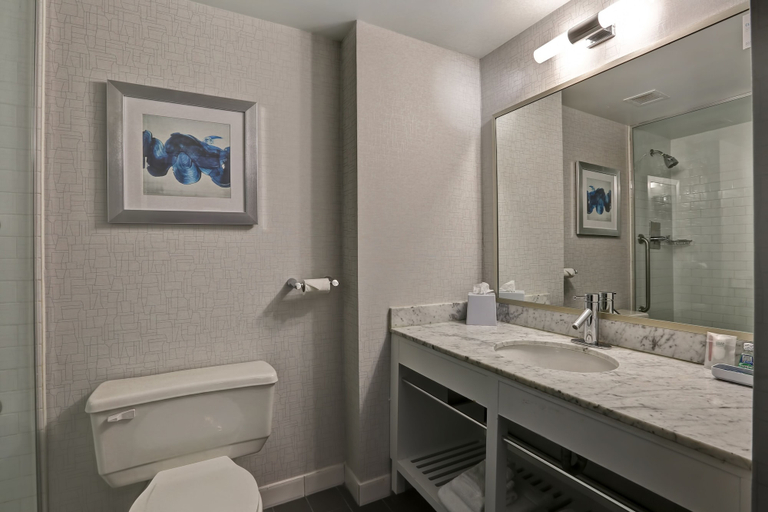 Bathroom 4, Four Points by Sheraton Toronto Mississauga, Peel