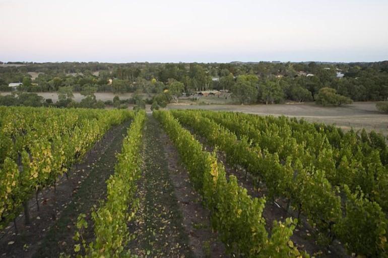 Others 3, Barristers Block Vigneron Villa, Adelaide