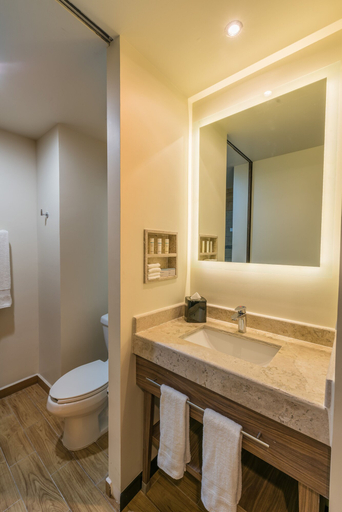 Bathroom 3, Hampton Inn & Suites by Hilton Salamanca Bajio, Salamanca