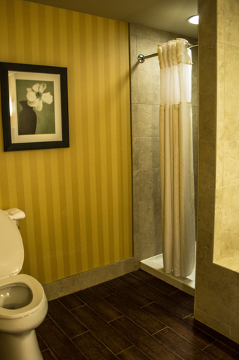 Bathroom 4, Hilton Garden Inn Pittsburgh/Cranberry, Butler