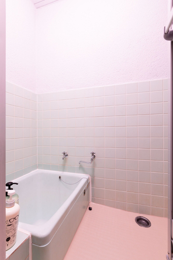 Bathroom 3, F-Minami, Osaka