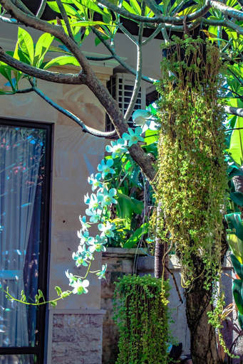 Others 5, Villa Impian, Badung