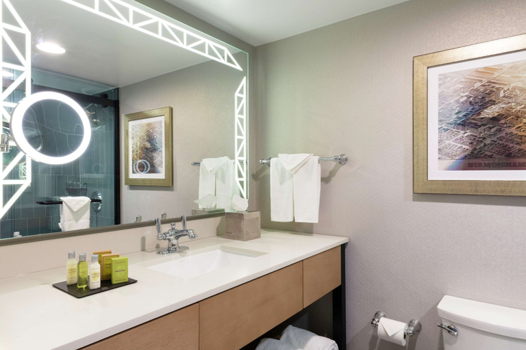 Bathroom 5, DoubleTree by Hilton Birmingham Perimeter Park, Jefferson