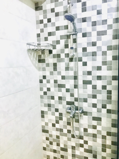 Bathroom 3, My house on Agmashenebeli street, Tbilisi