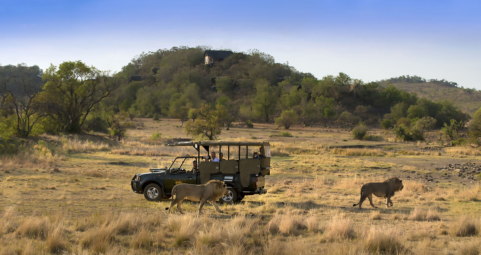 Others 2, Tshukudu Bush Lodge, Bojanala