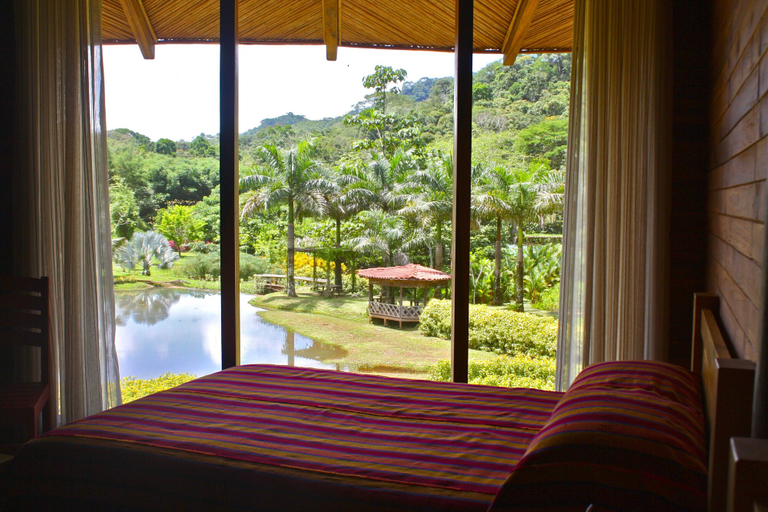 Bedroom 3, Macaw Lodge, Turrubares