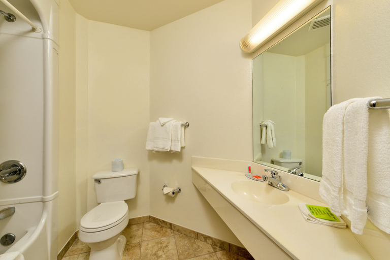 Bathroom 4, Econo Lodge Belle Fourche, Butte