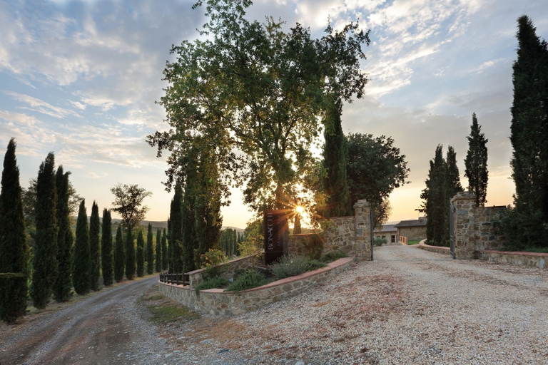 Others 5, Agriturismo A. Bonacchi, Siena
