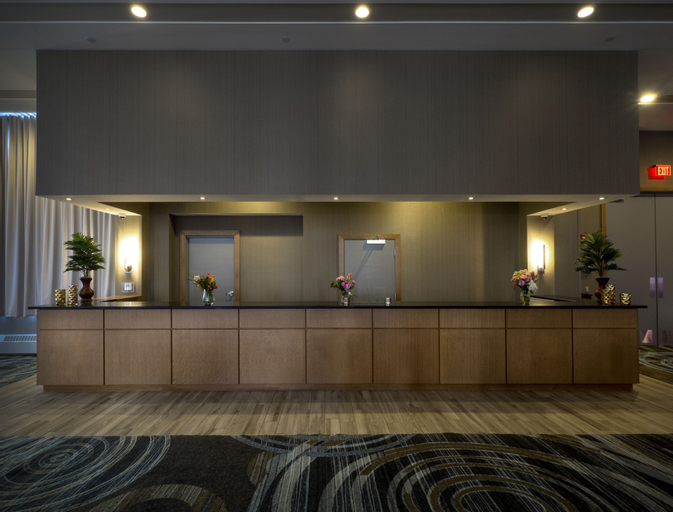 Public Area 4, DoubleTree by Hilton Hotel Niagara Falls New York, Niagara