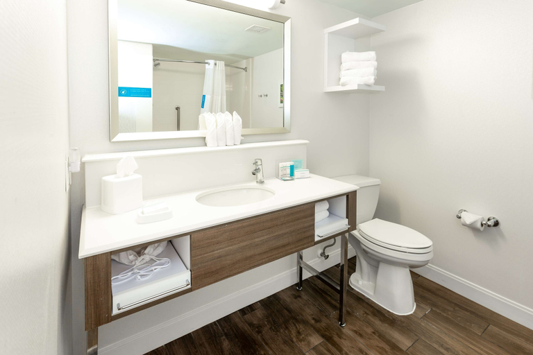Bathroom 4, Hampton Inn Columbia I-26/Harbison Blvd., Richland
