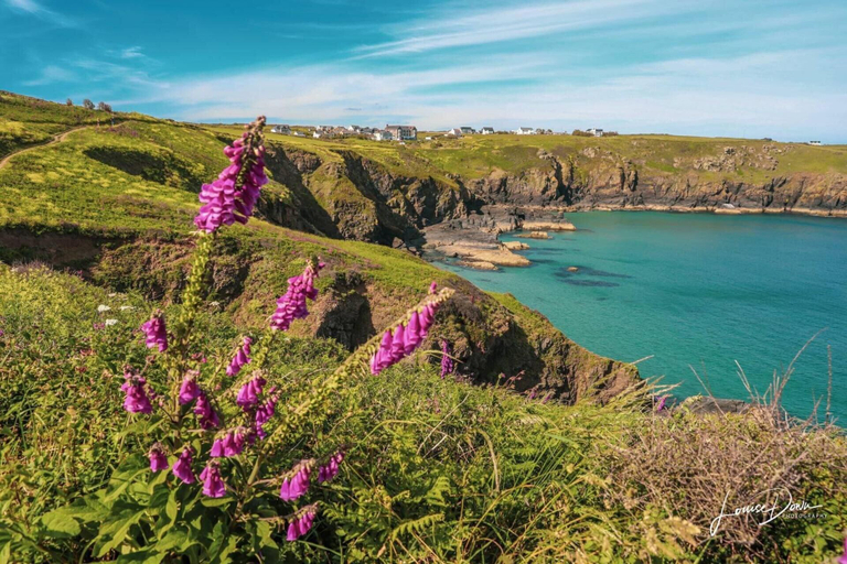 Others 3, 1bed Cabin Sleeps 2- Parking,fireplace,garden,pets, Cornwall