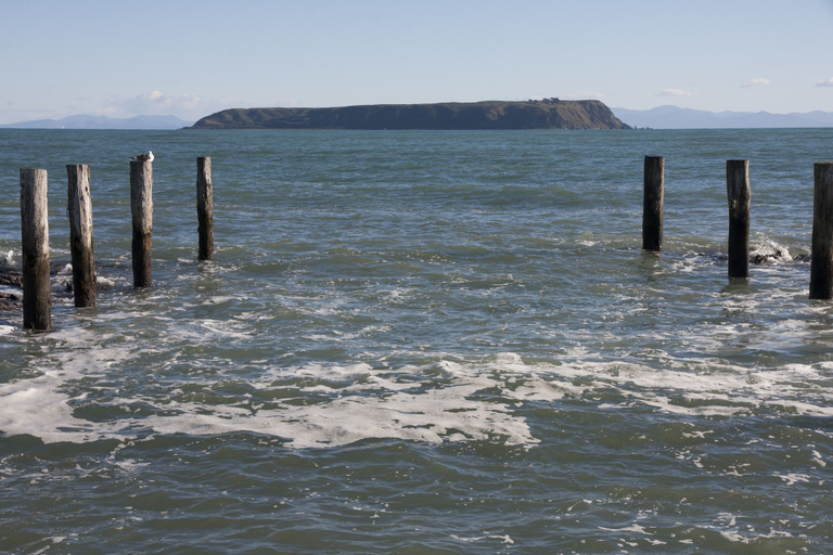 Others 5, Moana Lodge - Guest House, Porirua