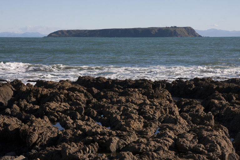 Others 3, Moana Lodge - Guest House, Porirua
