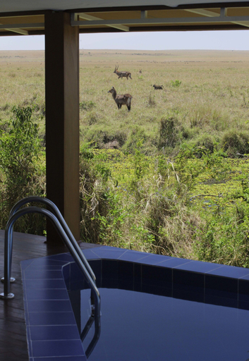 Others 4, Ngerende in the Wild Lakeview, Narok West