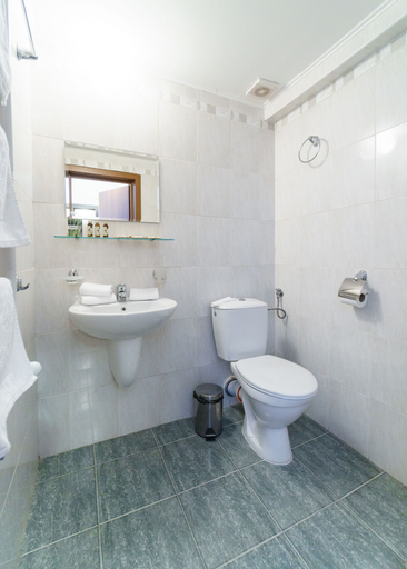 Bathroom 4, Velinov Boutique Hotel, Bansko