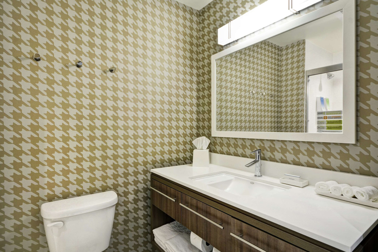 Bathroom 3, Home2 Suites by Hilton Carbondale, Jackson