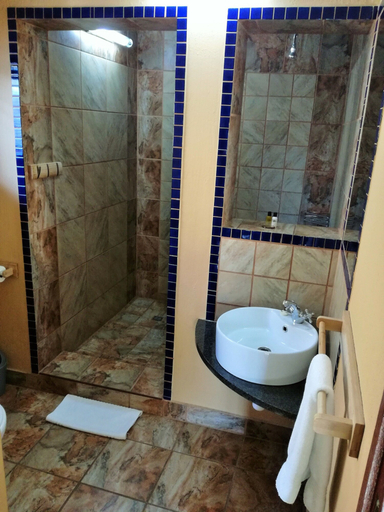 Bathroom 3, Africlassic River Lodge- Rivonia, City of Johannesburg
