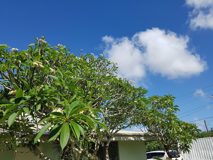 Exterior & Views 2, Saipan Family Residence, Saipan