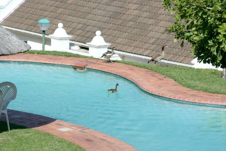 Sport & Beauty 5, The Estuary Hotel and Spa, Ugu