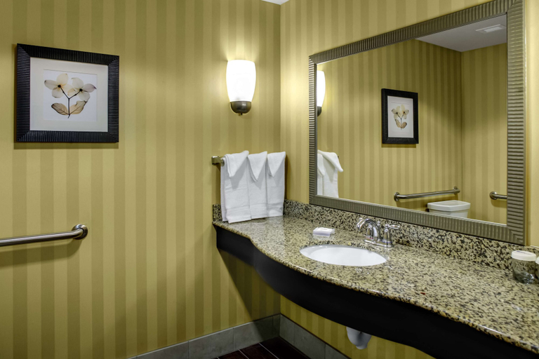 Bathroom 4, Hilton Garden Inn Pittsburgh/Cranberry, Butler