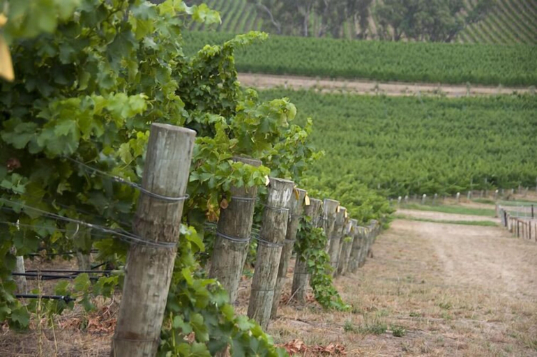 Others 5, Barristers Block Vigneron Villa, Adelaide