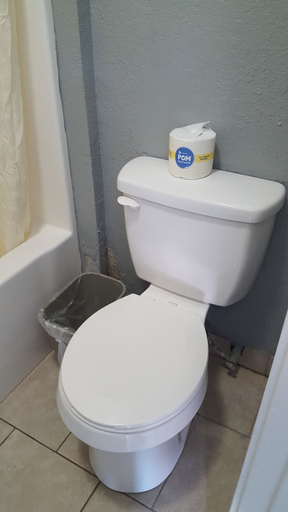 Bathroom 3, Bayfront Cottages, Aransas