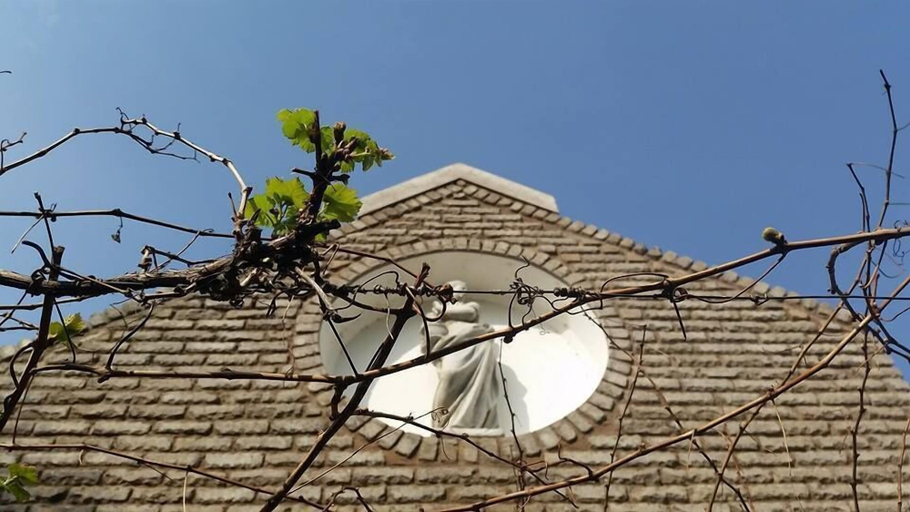 Exterior & Views 2, De Werf Lodge, Siyanda