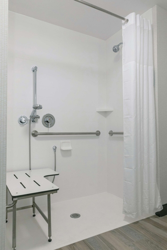 Bathroom 4, Hampton Inn Black Mountain, Buncombe