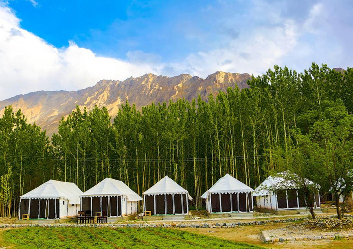 Ladakh Tarrain Camp, Leh (Ladakh)