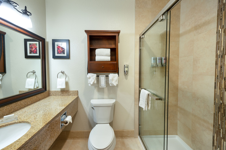 Bathroom 5, Icicle Village Resort, Chelan