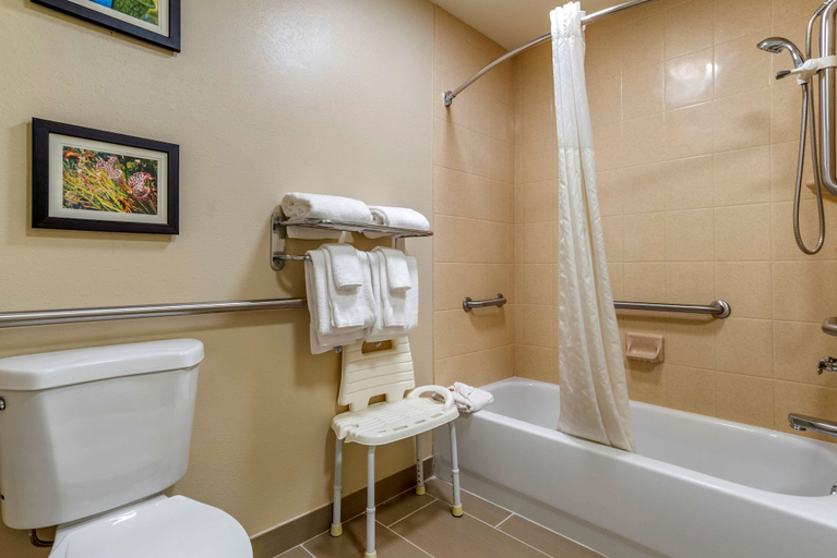 Bathroom 4, Comfort Suites Niceville Near Elgin Air Force Base, Okaloosa
