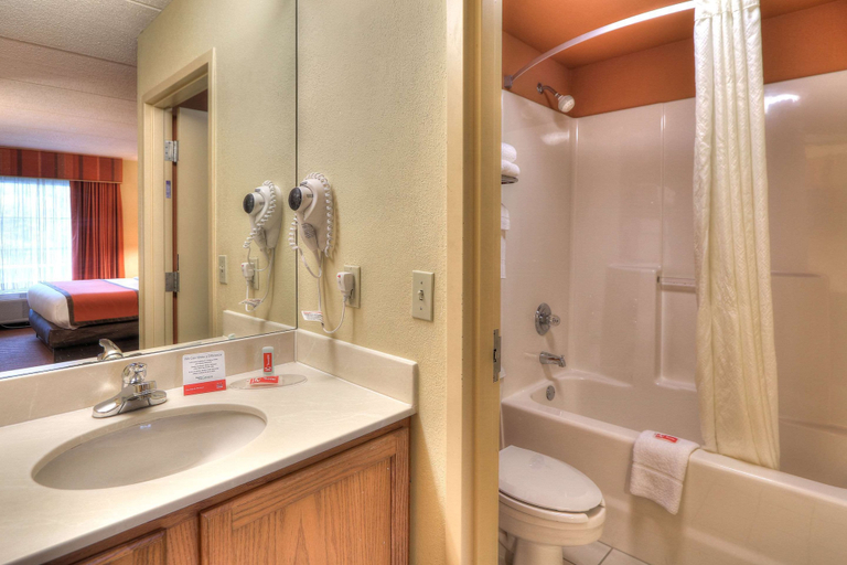 Bathroom 5, Econo Lodge Pigeon Forge Riverside, Sevier