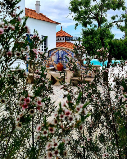 Exterior & Views 2, Oryza Guest House & Suites, Coimbra