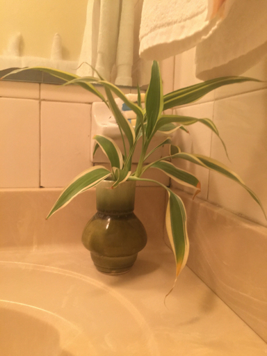 Bathroom 5, The Still Beach House